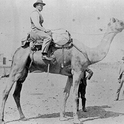 Western Man on Camel